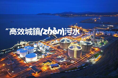 “高效城鎮(zhèn)污水處理流程，守護碧水藍天新篇章”